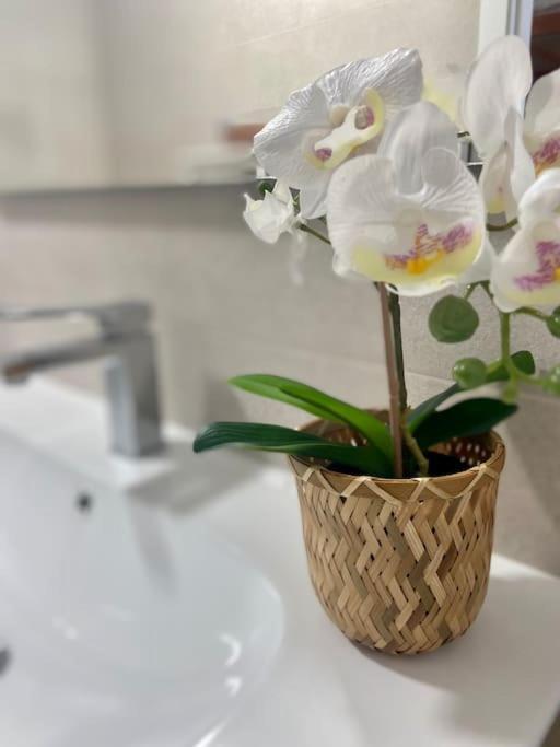 Precioso Loft En Caion Rocha, Sobre La Arena Y El Mar Lejlighed Cayón Eksteriør billede